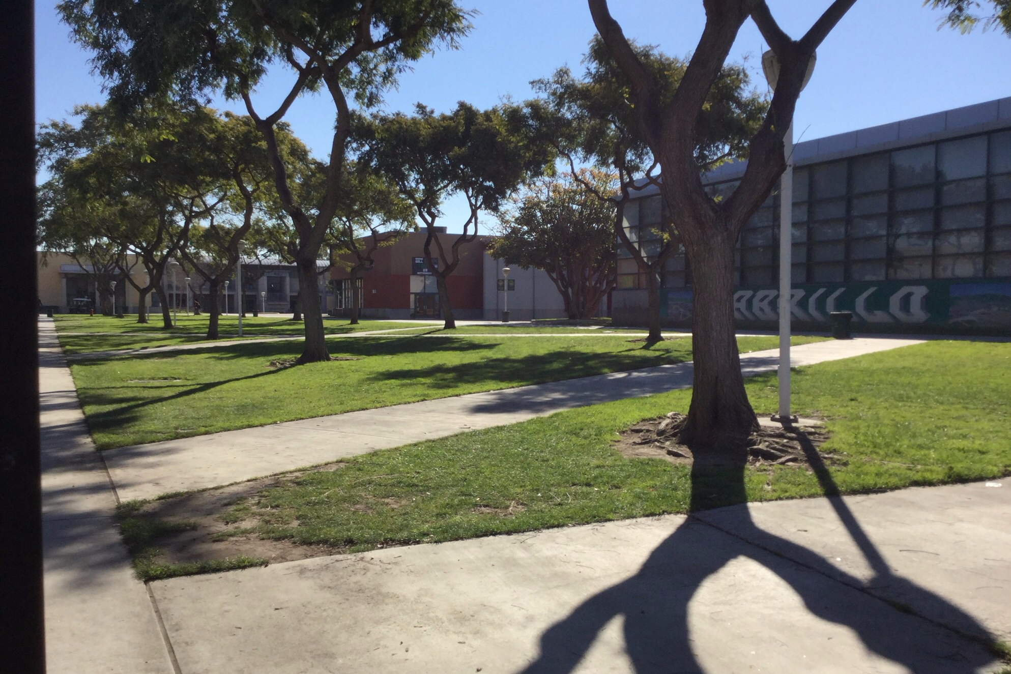 Quad