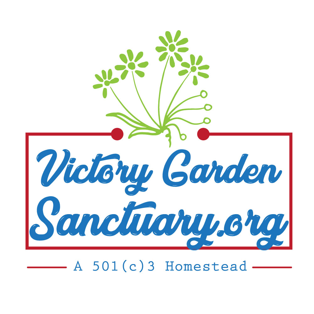 Blossom 2023 Victory Garden Sanctuary (Powered by Donorbox)