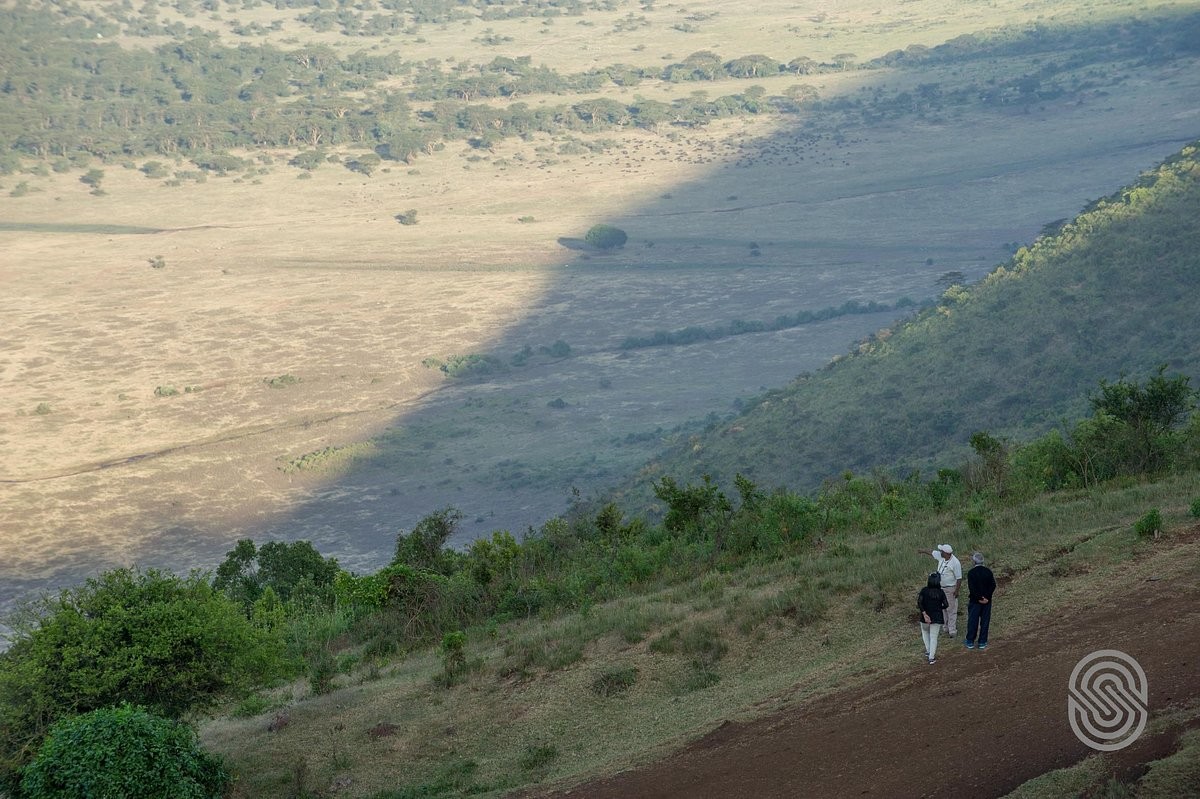 Guided walk on Ngorongoro Highlands