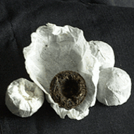 Yunnan Black Tuo Cha (ZY58) from Upton Tea Imports