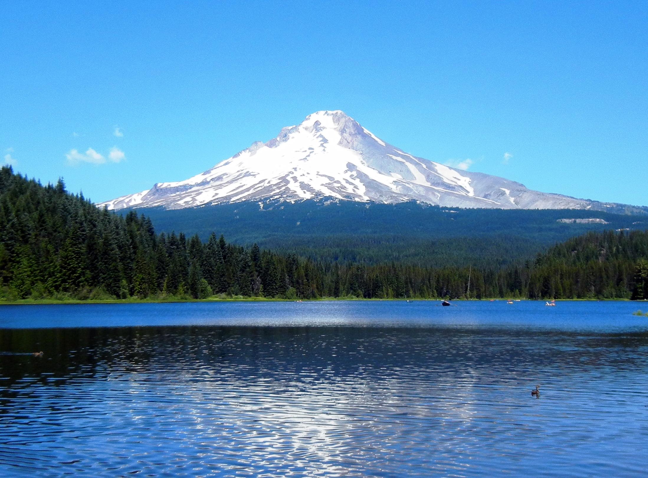 Jetboat Adventures on the Rogue River with Hellgate Jetboat Excursions - Medford