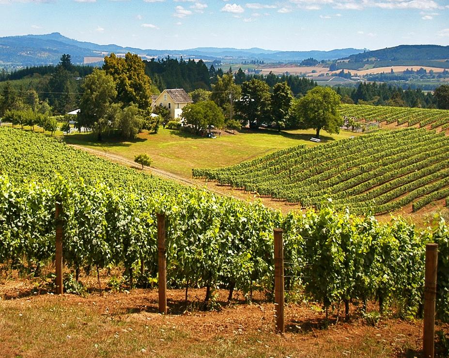 Wildwood Adventures: Gorge Waterfalls & Oregon Coast Tours - Portland