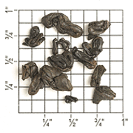China Black Gunpowder (ZK31) from Upton Tea Imports