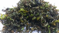 Rohini Exotic Spring sftgfop-1 EX-7 / 1st flush 2014 darjeeling tea from Tea Emporium