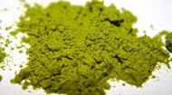 Drinking Matcha from Matcha Factory