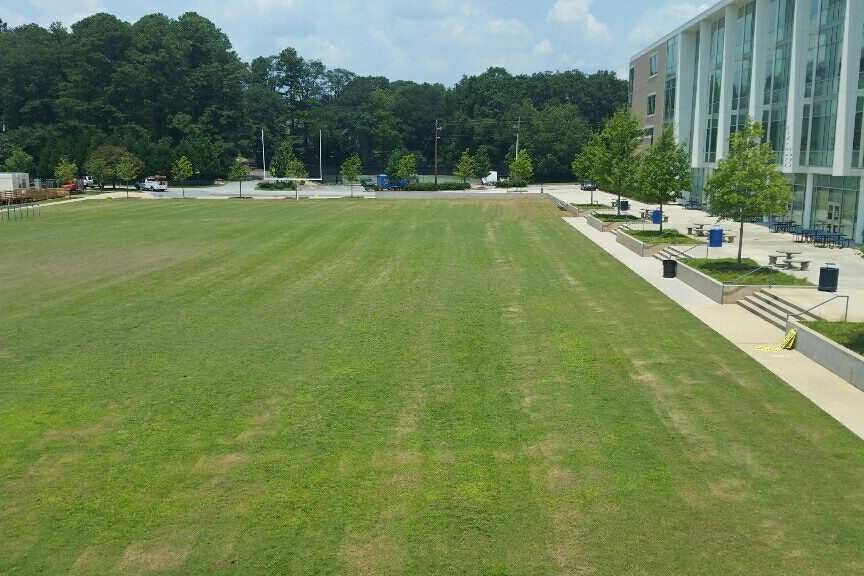 Football Field