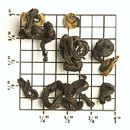 China Black Yin Lan Zao (ZK54) from Upton Tea Imports