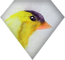 💛 Goldfinch 📺 Tutorial
