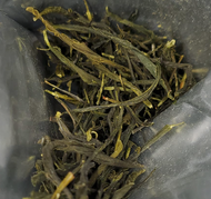 June 2024 Master Class Temomi from Global Japanese Tea Association
