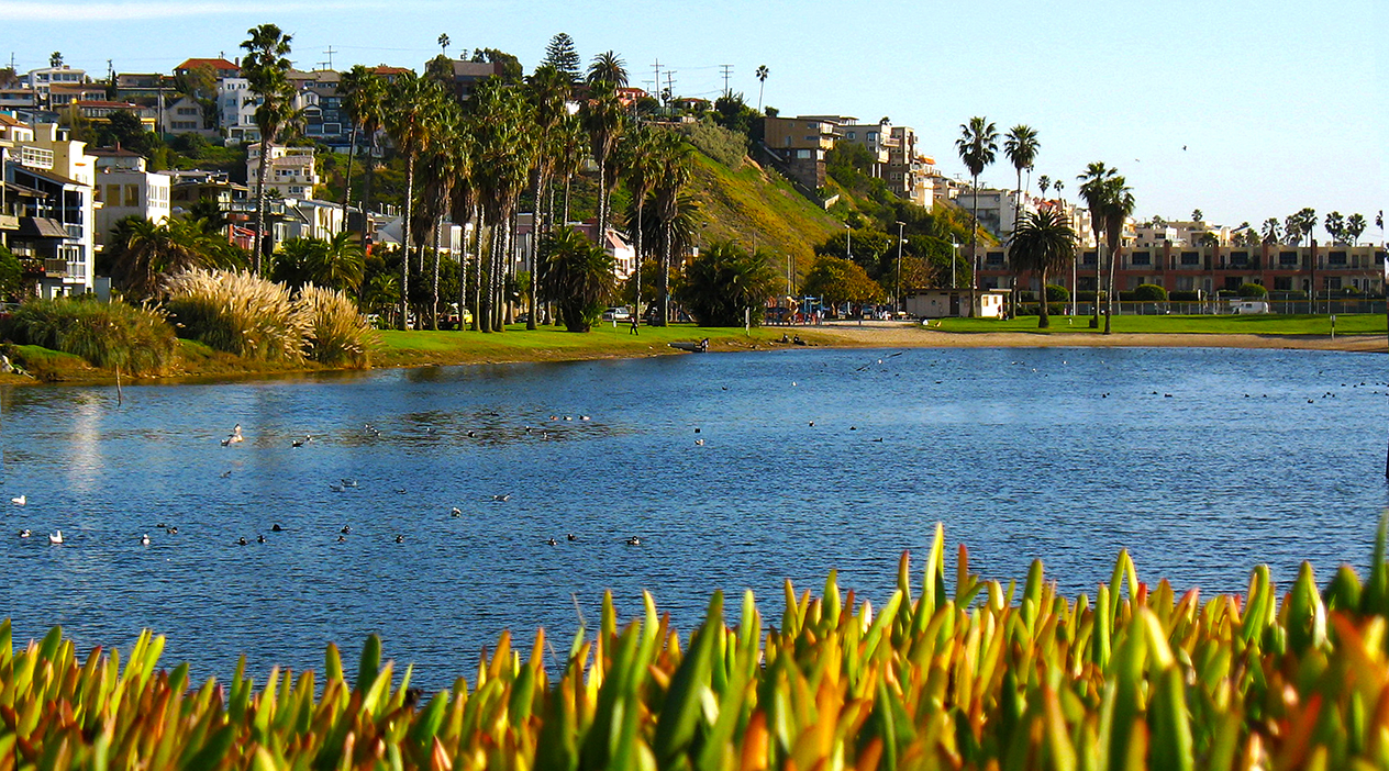 Playa Del Rey Tour & Painting Book Tours & Activities at