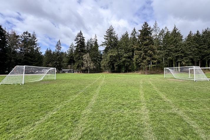 Athletic Field Grass