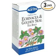 Echinecia from Alvita