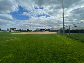 Baseball Field Grass
