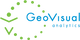 GeoVisual Analytics 