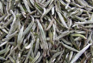 Bai Hao Yin Zhen from jing tea shop