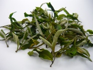 CLOUD - 9 – CLONAL WHITE TEA. (1ST FLUSH – 2013) from GOOMTEE TEA ESTATE