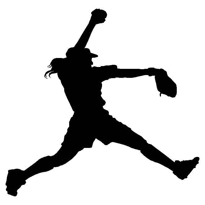 Stegs Fast-Pitch Academy logo