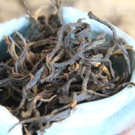 Thai Gushu Black from Whispering Pines Tea Company