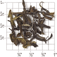 Darjeeling FTGFOPI Premium Blend (TD60) from Upton Tea Imports