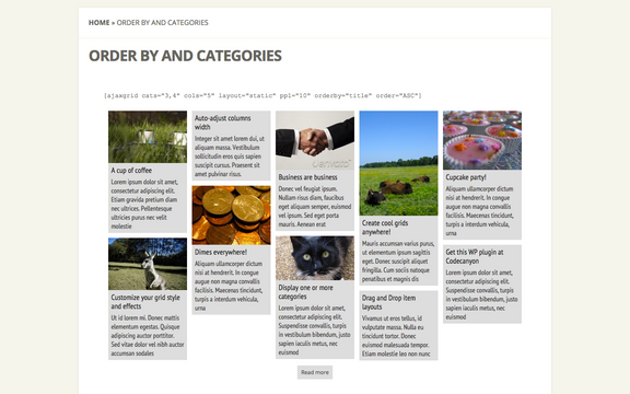 portfolio