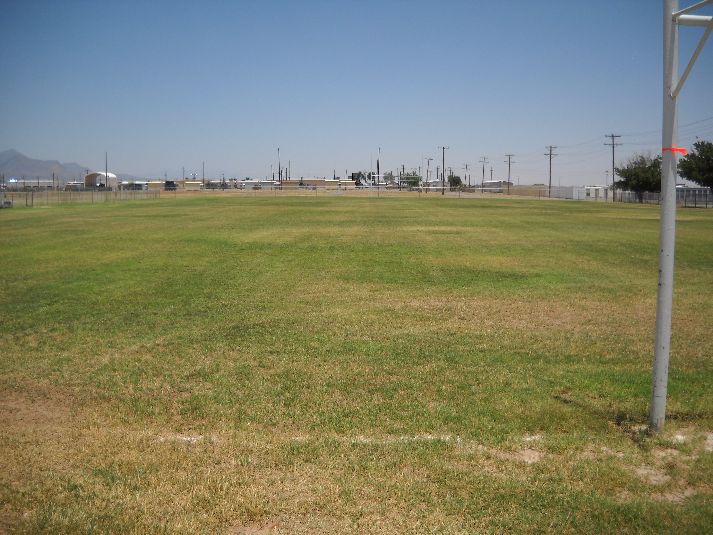 Playfield