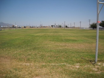 Playfield