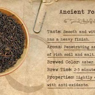 Ancient Forest Tea from Mountain Rose Herbs
