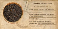 Ancient Forest Tea from Mountain Rose Herbs