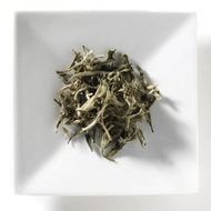 Silver Needle from Mighty Leaf Tea