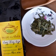 Long Jing Superieur from Terre des Thes