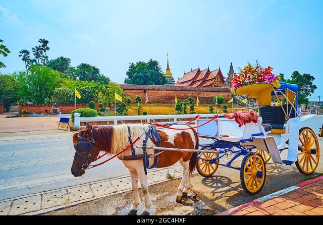 Take a Horse-Cart Trip, Drive to Chiang Rai