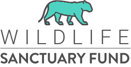 Wild Life Sanctuary Fund logo