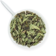 Moroccan Mint Green Tea from Udyan Tea