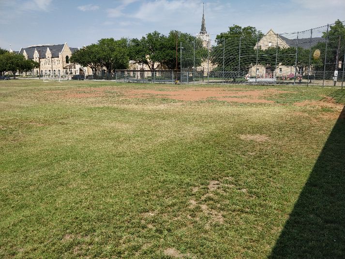 Field