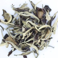 White Moon Pu'erh (Sheng) from Tao Tea Leaf