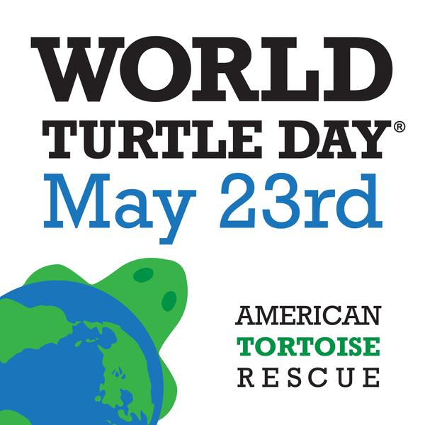 World_Turtle_Day_3hjpg