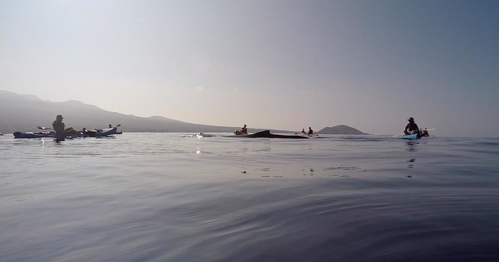 Honolua Expedition: Kayak, Snorkel & Swim with Dolphins in Kihei - Kihei