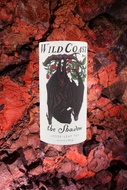 The Shadow from Wild Coast Brew