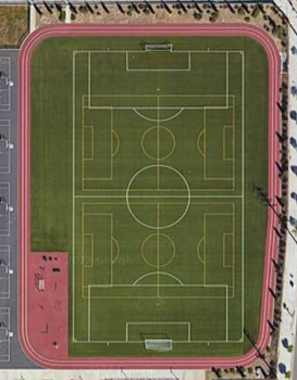 Synthetic Turf - Field