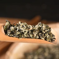 Yunnan Green Spring Snail Bi Luo Chun Green Tea - Spring 2022 from Yunnan Sourcing