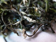 Bi Luo Chun from Mantra Tea Taiwan