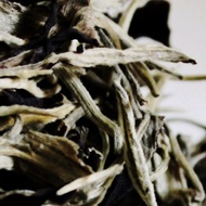 Ancient Tree Moon Light White Puer from TanLong Tea
