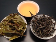 2013 Autumn Song Mao Cha from Mandala Tea