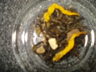 Tangerine Parfait from Cuppa'T Specialty Teas