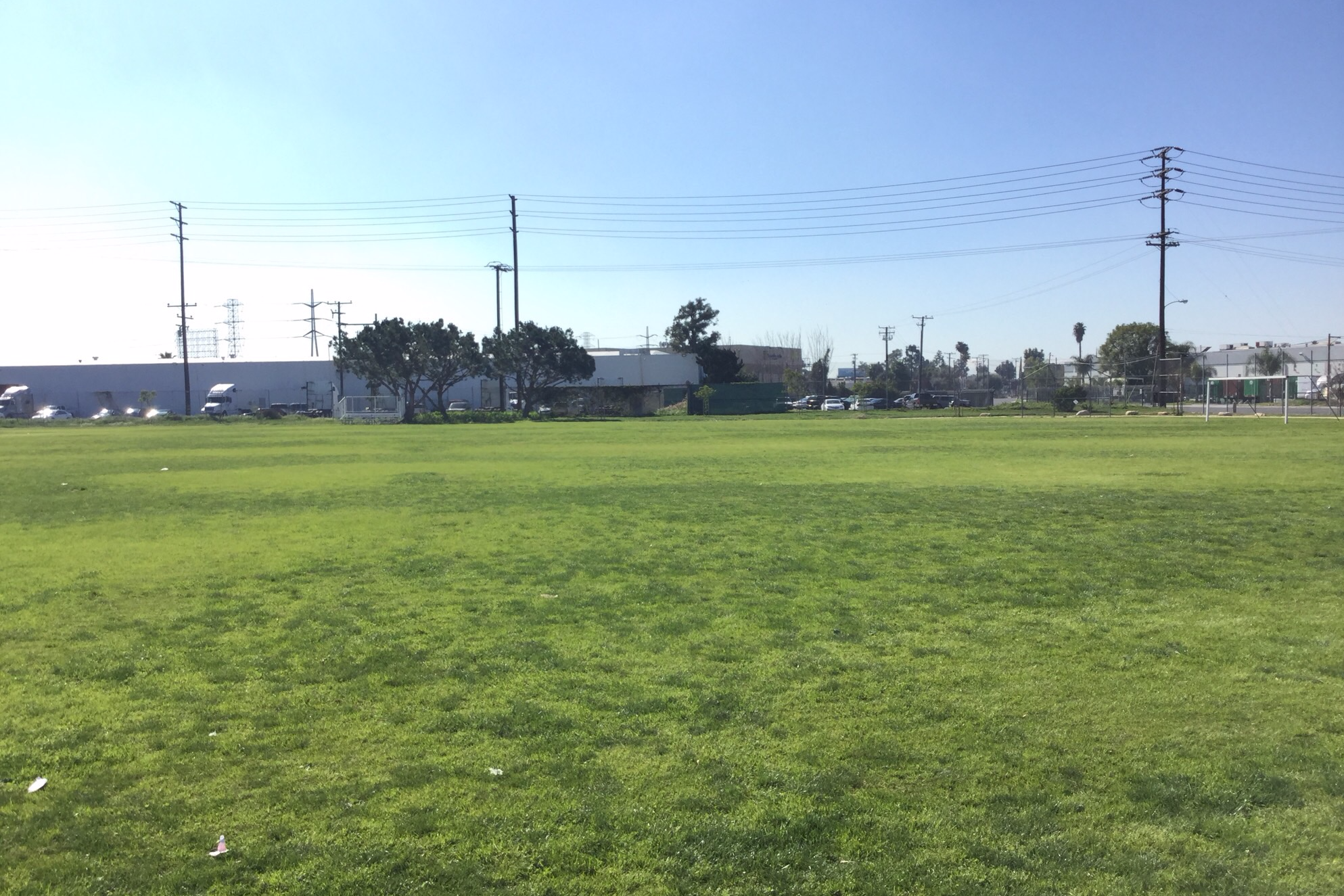 Field