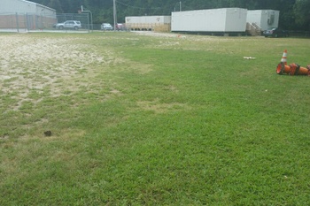 Field