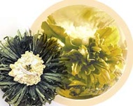 Emerald Sun from Numi Organic Tea
