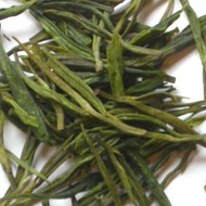 Anji Bai Cha from Camellia Sinensis
