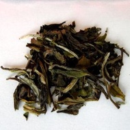 Pai Mu Tan (White Tea) from The Wiltshire Tea Company
