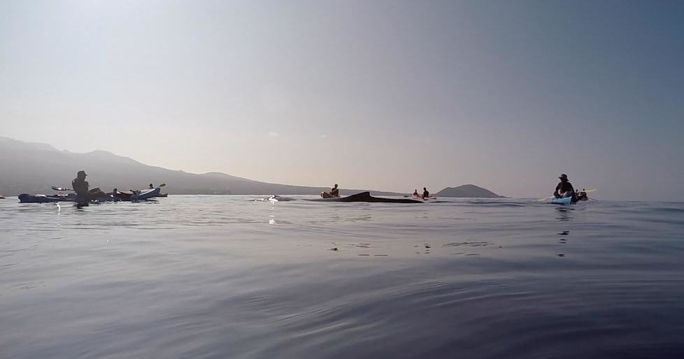 Honolua Expedition in Kihei Hawaii United States
